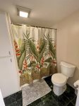 Primary bathroom with tub/shower
